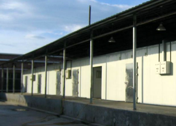 ������⳧��