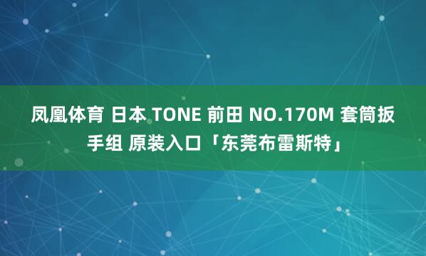 凤凰体育 日本 TONE 前田 NO.170M 套筒扳手组 原装入口「东莞布雷斯特」