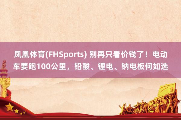 凤凰体育(FHSports) 别再只看价钱了！电动车要跑100公里，铅酸、锂电、钠电板何如选