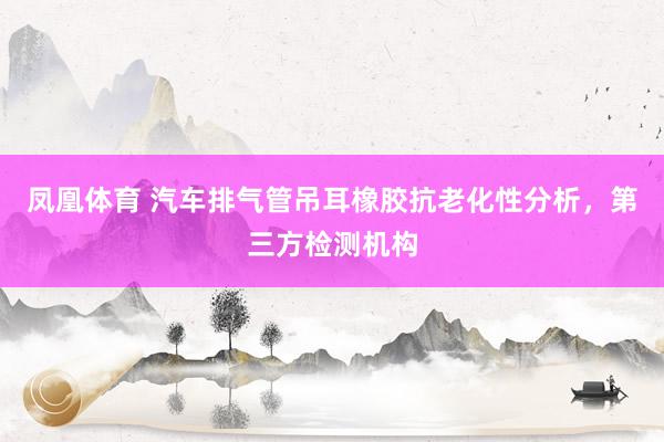 凤凰体育 汽车排气管吊耳橡胶抗老化性分析，第三方检测机构
