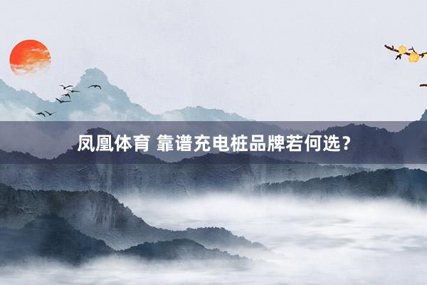 凤凰体育 靠谱充电桩品牌若何选？