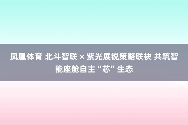 凤凰体育 北斗智联 × 紫光展锐策略联袂 共筑智能座舱自主“芯”生态
