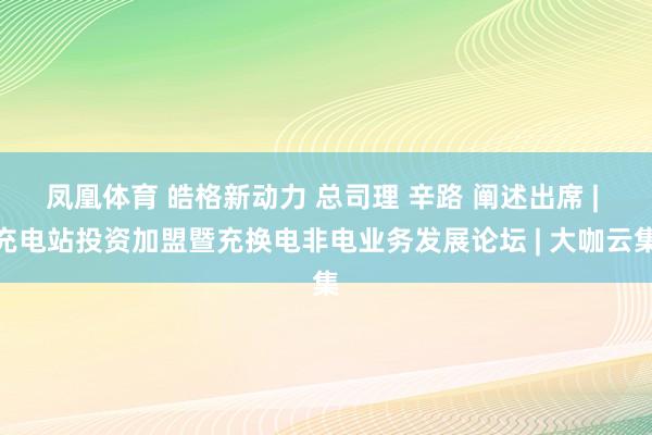 凤凰体育 皓格新动力 总司理 辛路 阐述出席 | 充电站投资加盟暨充换电非电业务发展论坛 | 大咖云集