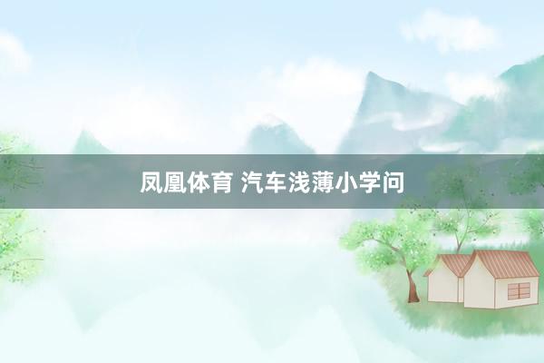 凤凰体育 汽车浅薄小学问