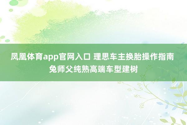 凤凰体育app官网入口 理思车主换胎操作指南 兔师父纯熟高端车型建树