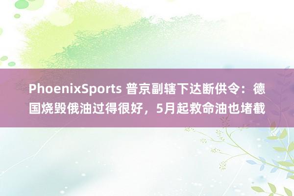 PhoenixSports 普京副辖下达断供令：德国烧毁俄油过得很好，5月起救命油也堵截