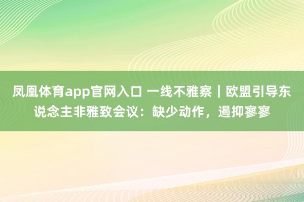 凤凰体育app官网入口 一线不雅察｜欧盟引导东说念主非雅致会议：缺少动作，遏抑寥寥