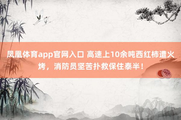 凤凰体育app官网入口 高速上10余吨西红柿遭火烤，消防员坚苦扑救保住泰半！