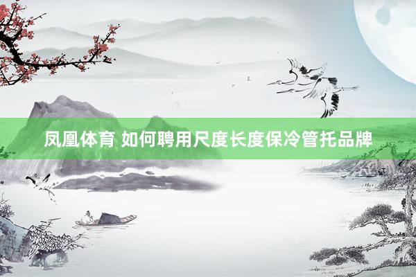 凤凰体育 如何聘用尺度长度保冷管托品牌