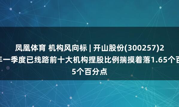 凤凰体育 机构风向标 | 开山股份(300257)2026年一季度已线路前十大机构捏股比例揣摸着落1.65个百分点