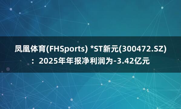 凤凰体育(FHSports) *ST新元(300472.SZ)：2025年年报净利润为-3.42亿元