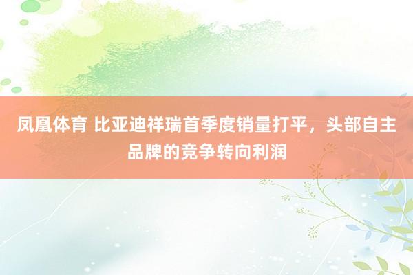 凤凰体育 比亚迪祥瑞首季度销量打平，头部自主品牌的竞争转向利润