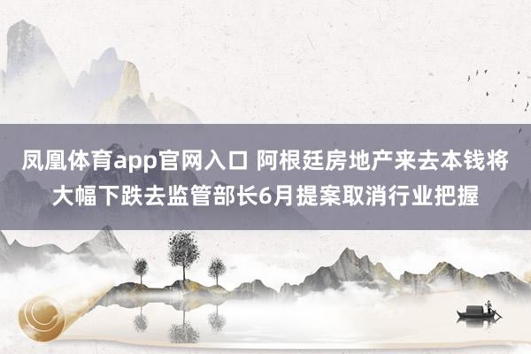 凤凰体育app官网入口 阿根廷房地产来去本钱将大幅下跌去监管部长6月提案取消行业把握