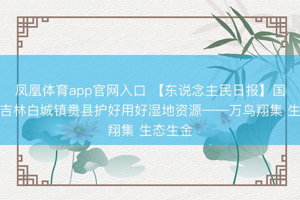 凤凰体育app官网入口 【东说念主民日报】国外版：吉林白城镇赉县护好用好湿地资源——万鸟翔集 生态生金